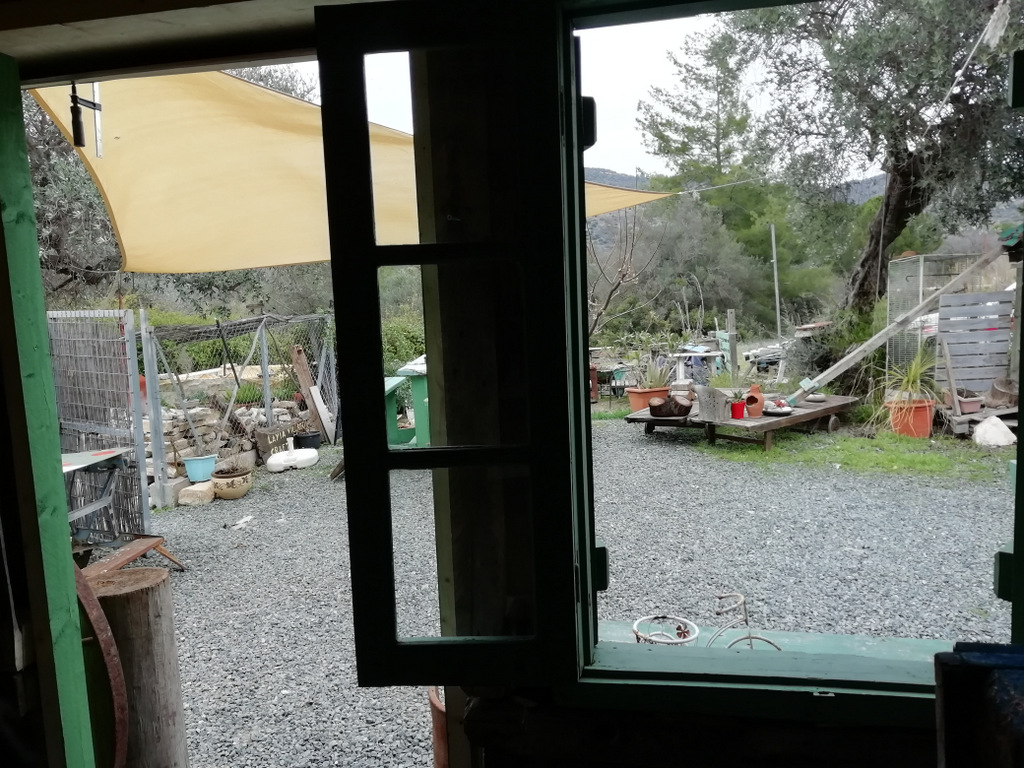 Ora Salvage window & Shutters Wood Great fire 2021 at the new DoodLynn Den shop