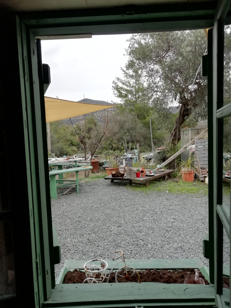 Ora Salvage window & Shutters Wood Great fire 2021 at the new DoodLynn Den shop