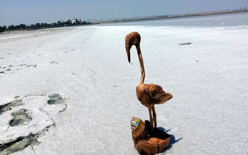 "Wooden sculpture of a flamingo named Aliki carved from Layia village olive wood"